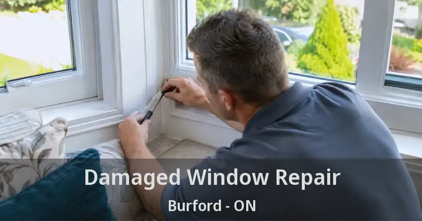 Damaged Window Repair Burford - ON