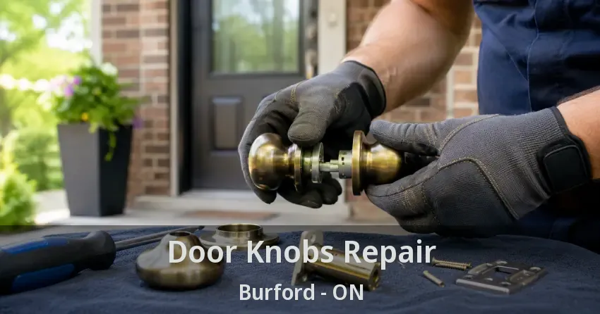 Door Knobs Repair Burford - ON