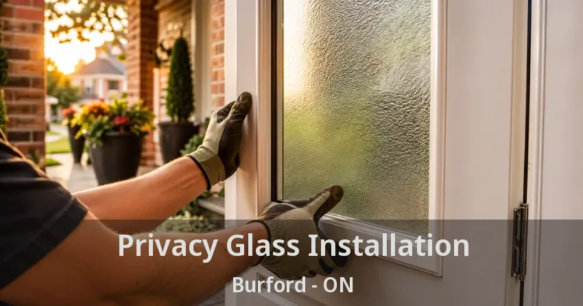 Privacy Glass Installation Burford - ON