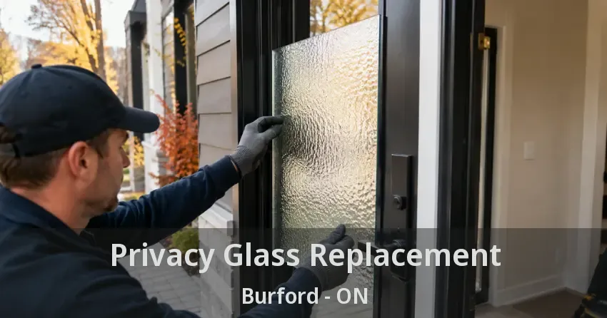 Privacy Glass Replacement Burford - ON